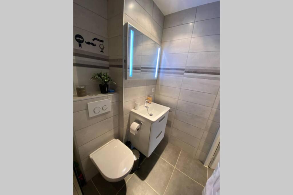 Апартаменты Le Continental Beau T2 Plein Centre + Parking Анси Экстерьер фото